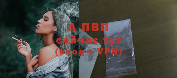 сатива Абаза