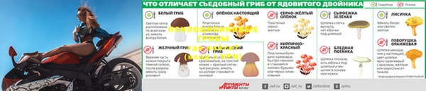 сатива Абаза