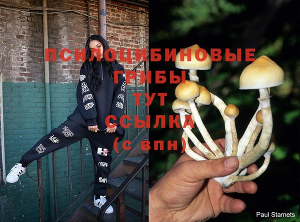 Альфа ПВП Магадан